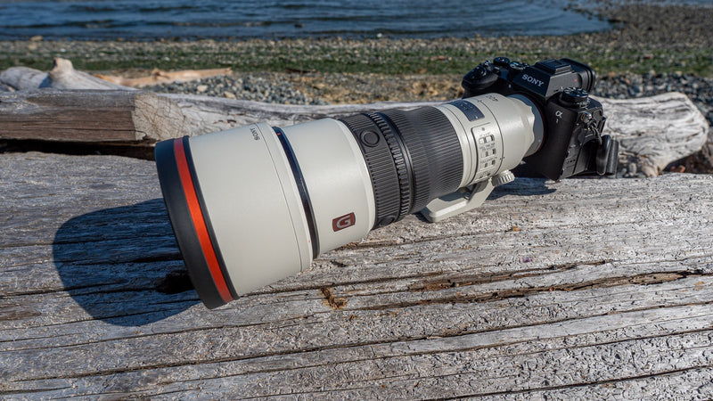 Field Testing the Sony FE 400mm F4.5 GM OSS