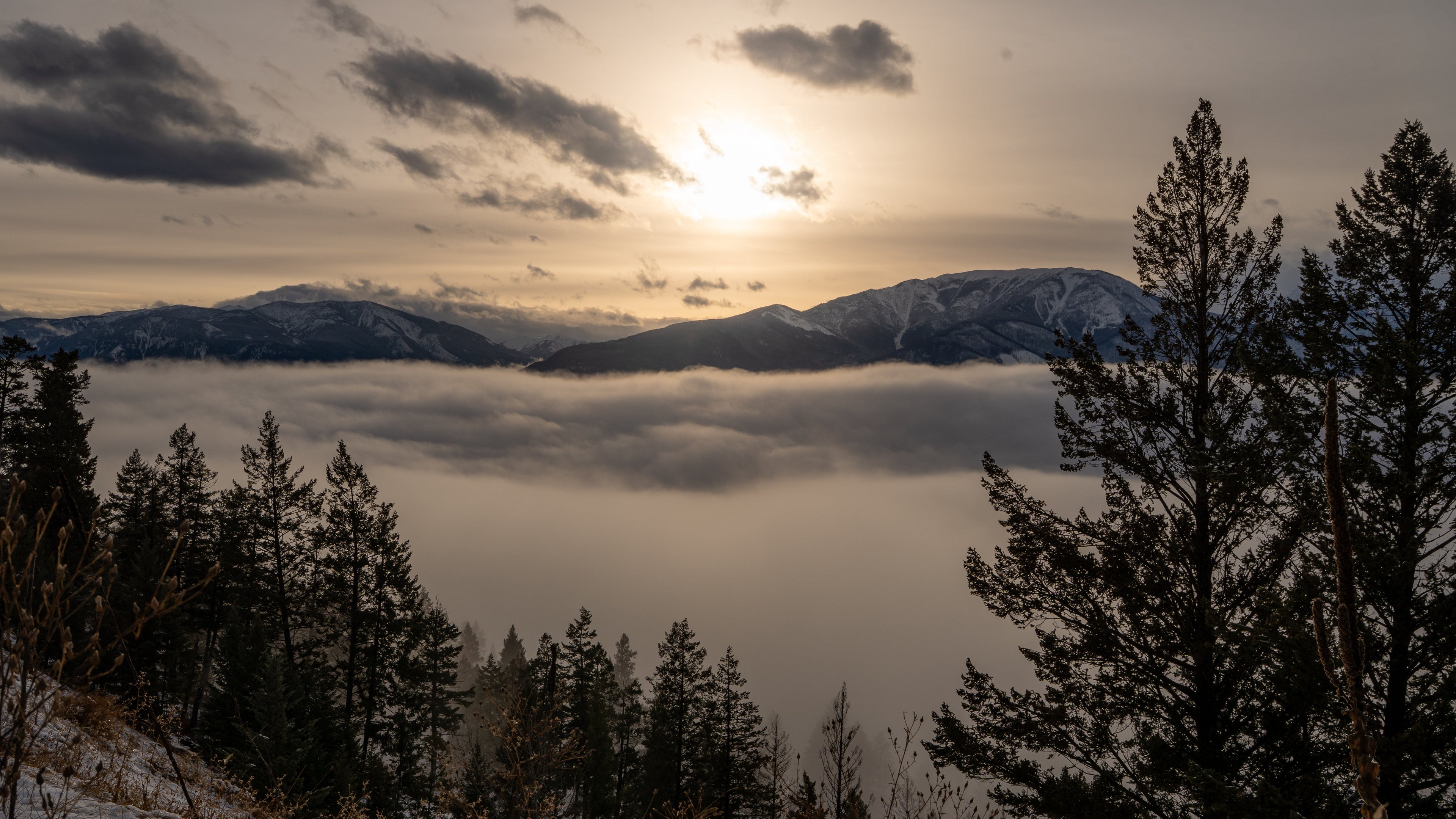 Photographing Bighorn Sheep in the Canadian Kootenays