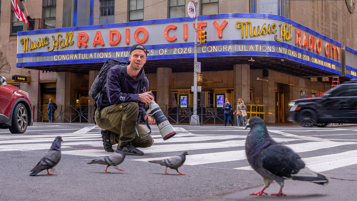A Creative Birding Trip to New York City
