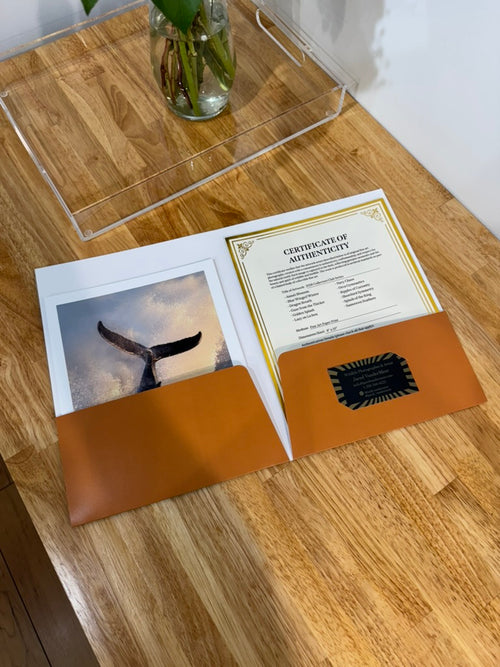 2026 Collector Club Set