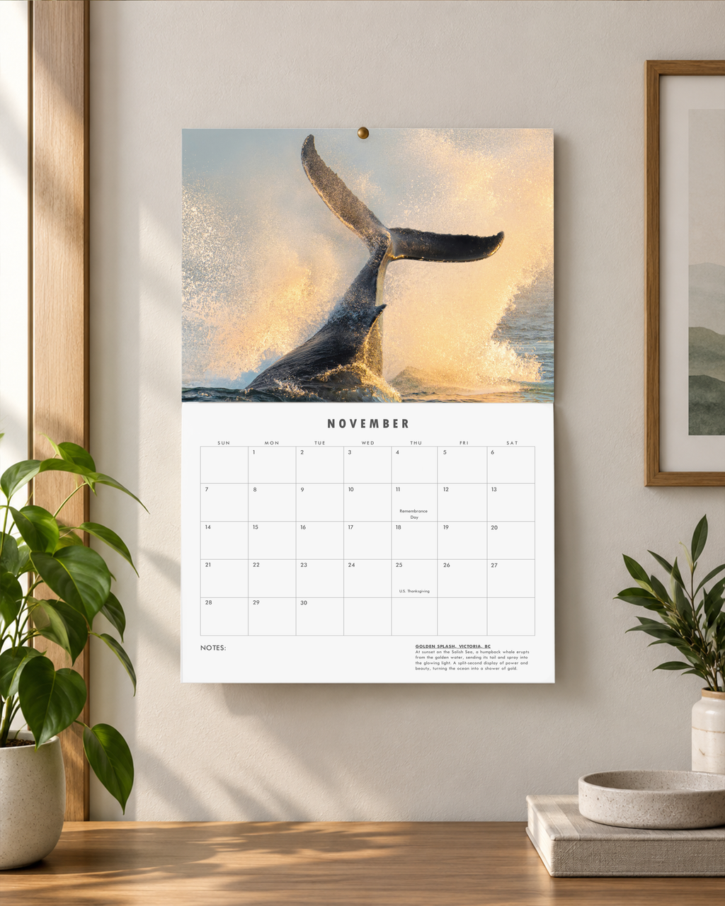 Bird And Wildlife Calendar 2027 - Jared VanderMeer
