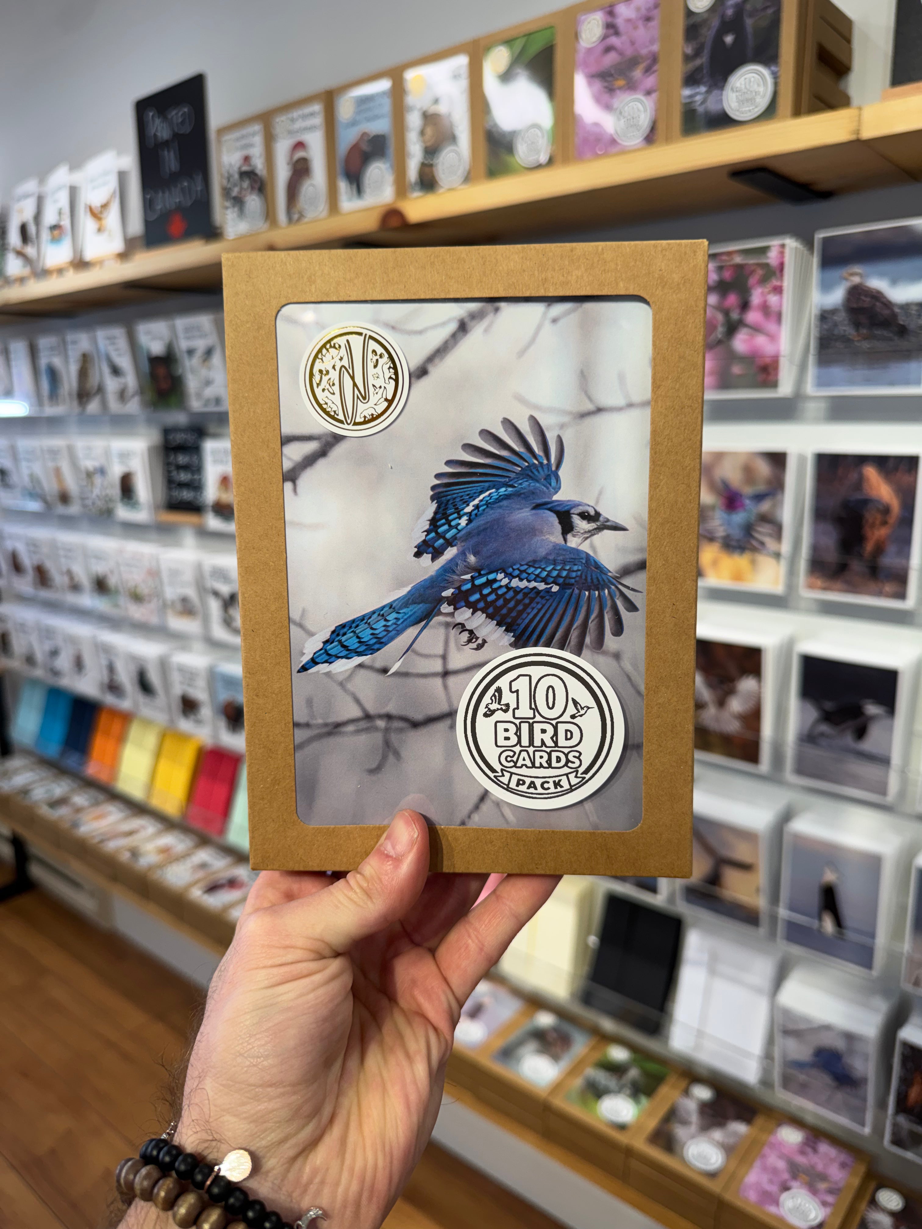 Bird Photography Greeting Cards - 10 Pack