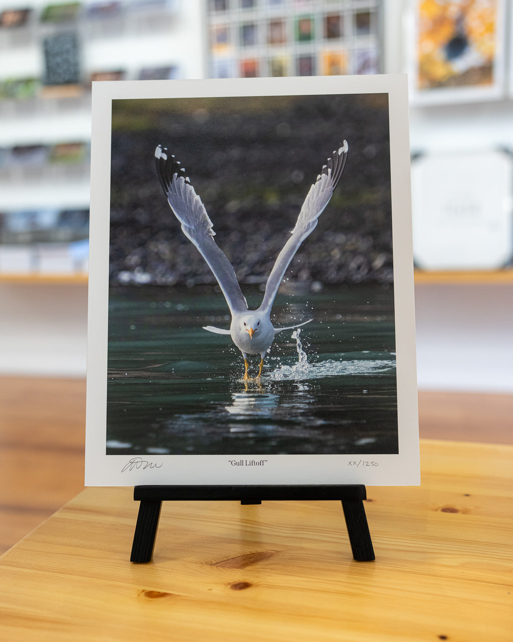 Gull Liftoff