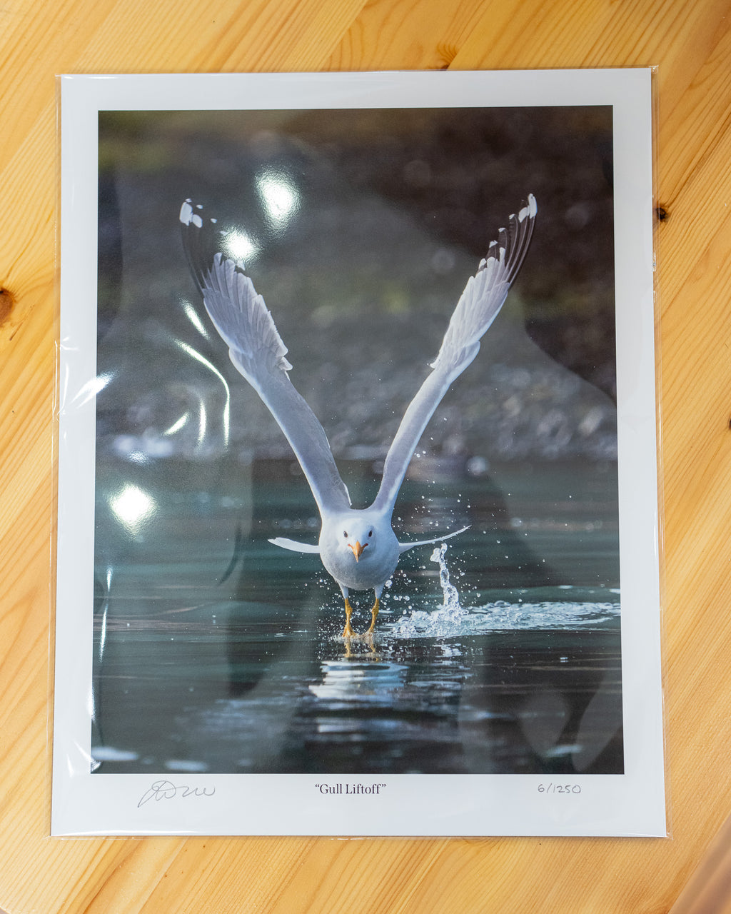 Gull Liftoff