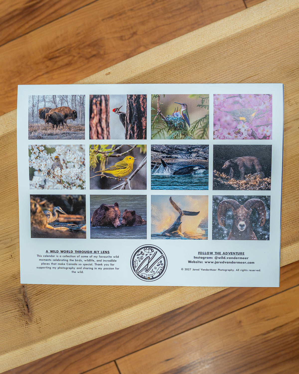 Bird And Wildlife Calendar 2027 - Jared VanderMeer