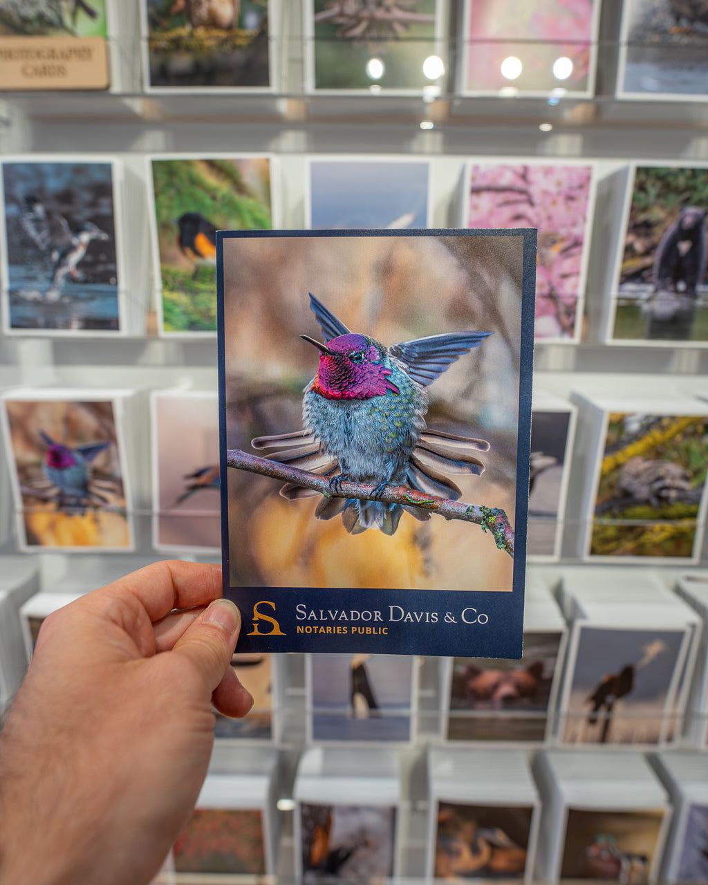 Custom Wildlife Greeting Cards