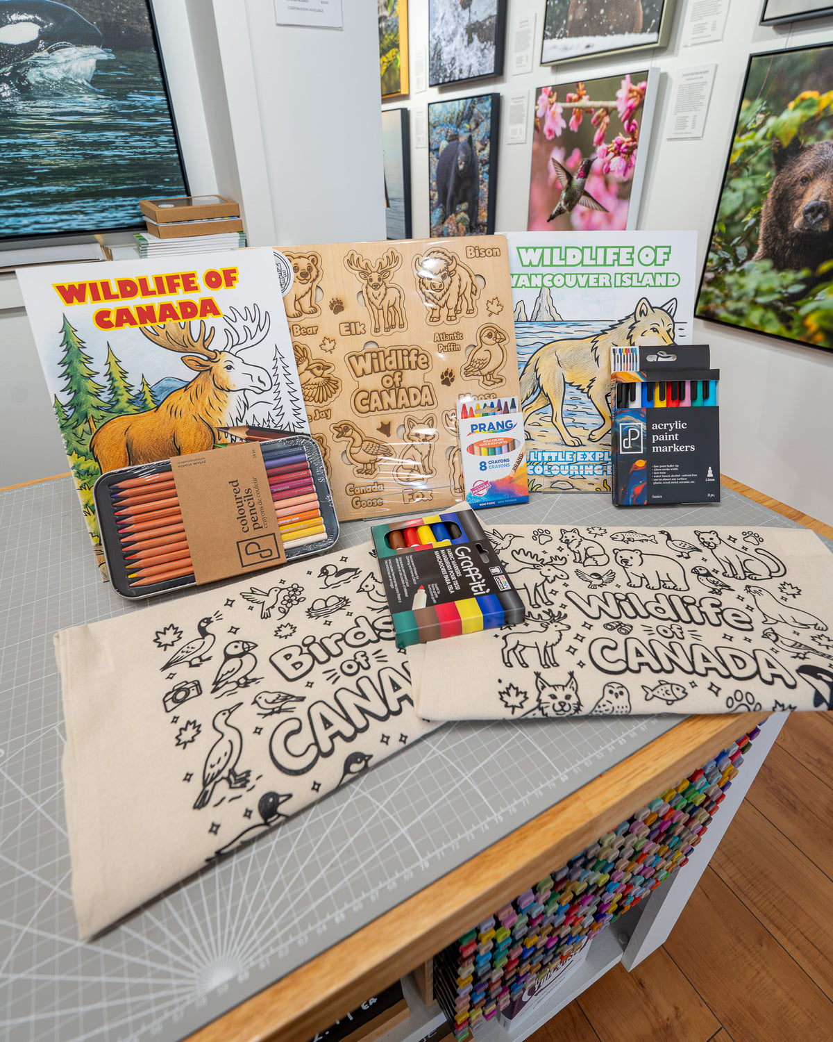 Canadian Wildlife Colouring Kit