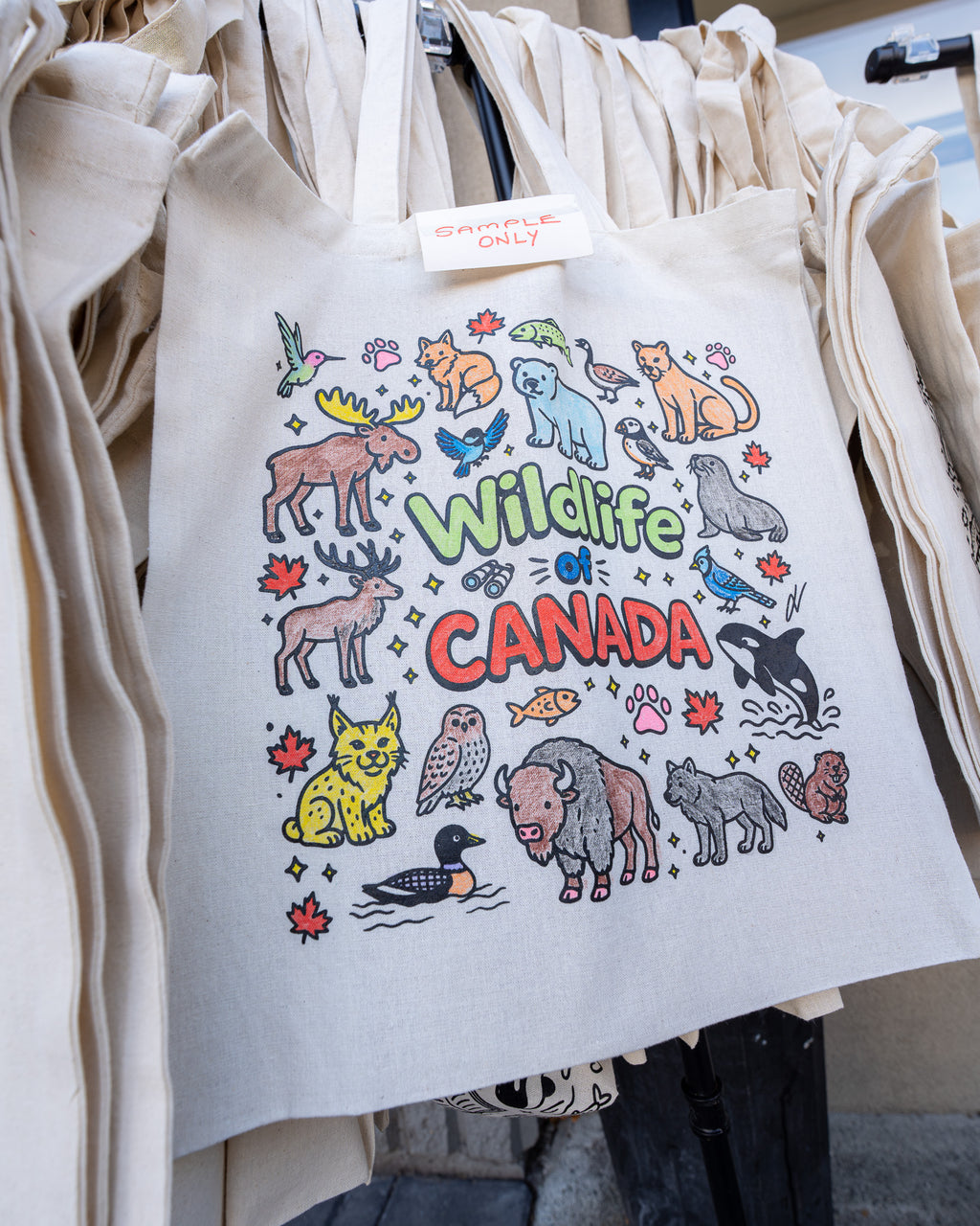Canadian Wildlife Colouring Kit