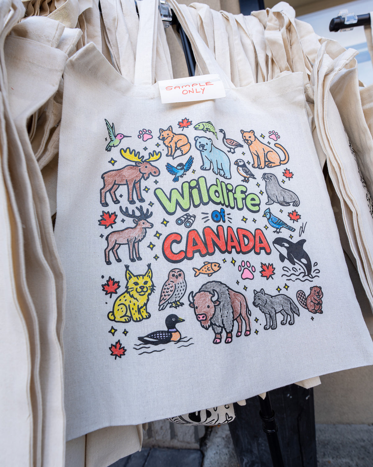 Canadian Wildlife Colouring Kit