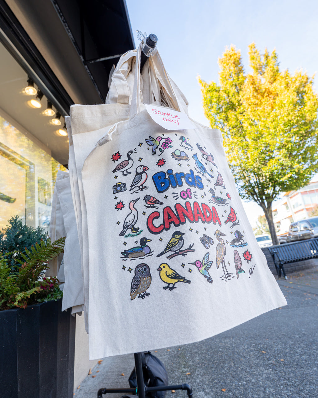 Canadian Wildlife Colouring Kit