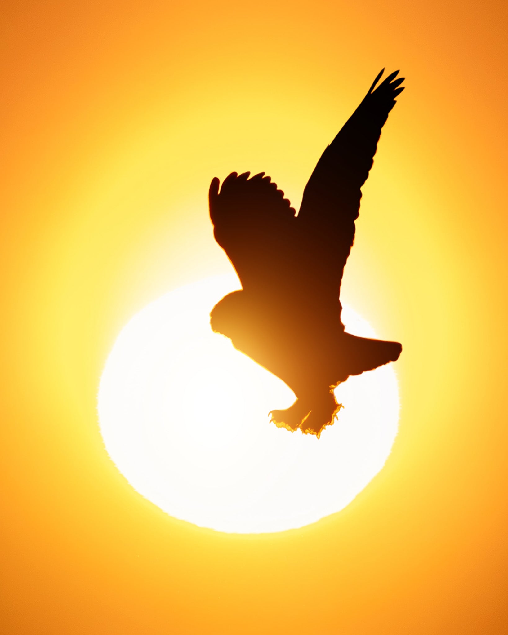 Solar Ascent