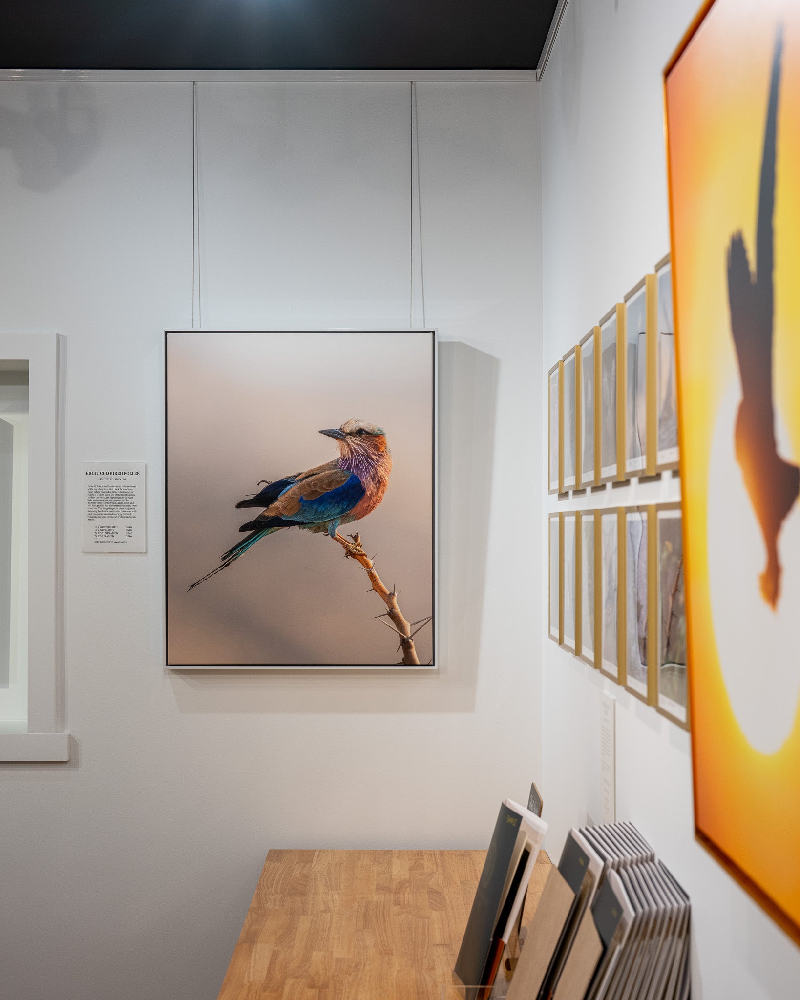 Art gallery with framed artwork on the wall, including a bird canvas.