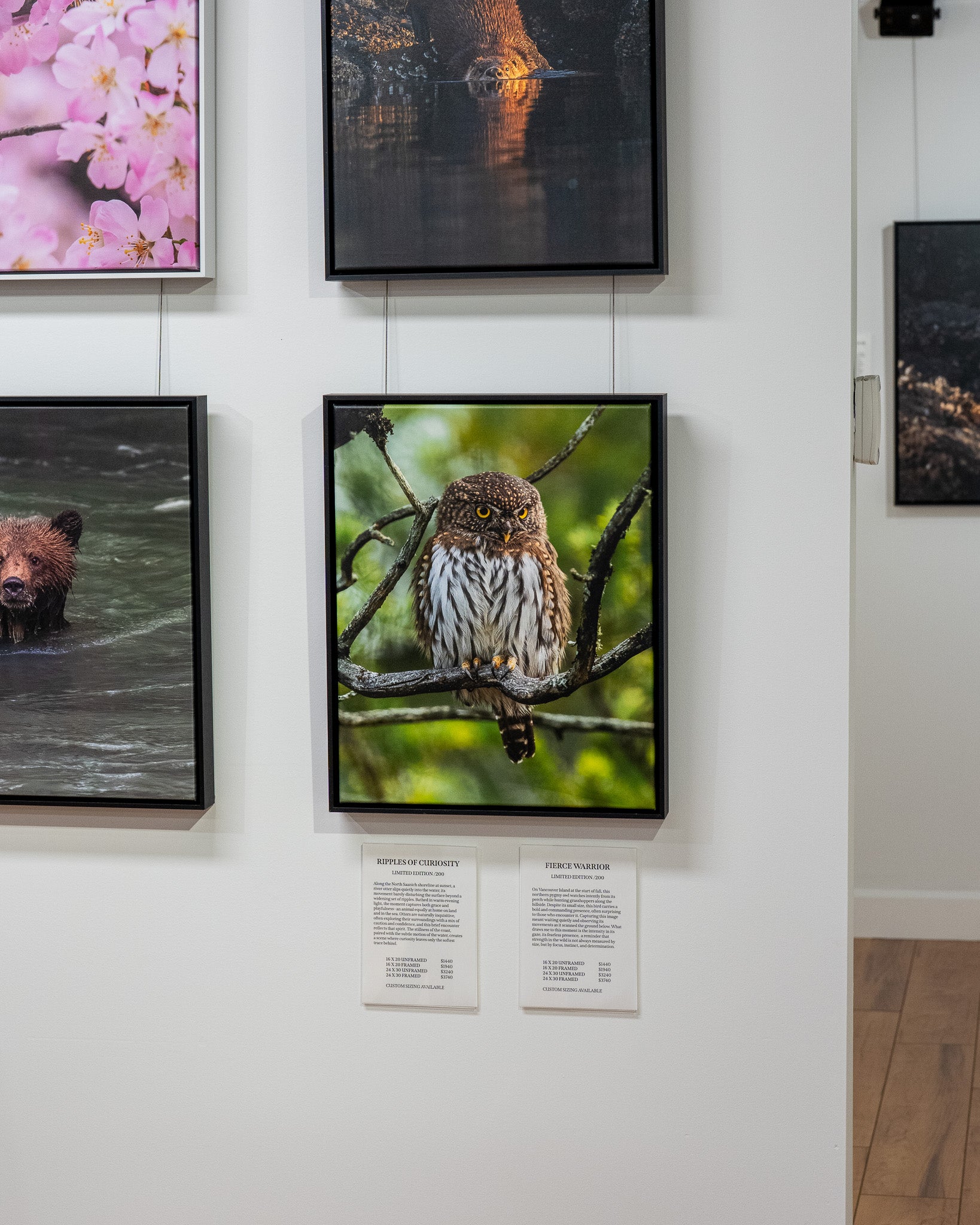 Framed photographs of nature on a wall with labels