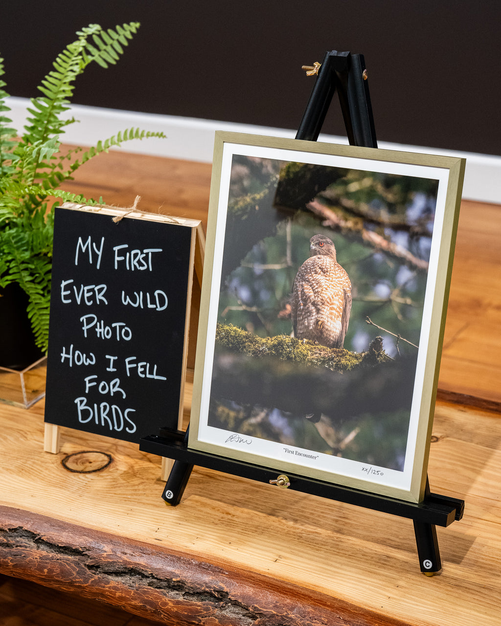 Framed photograph of a bird on a stand with a small chalkboard sign on a wooden surface.