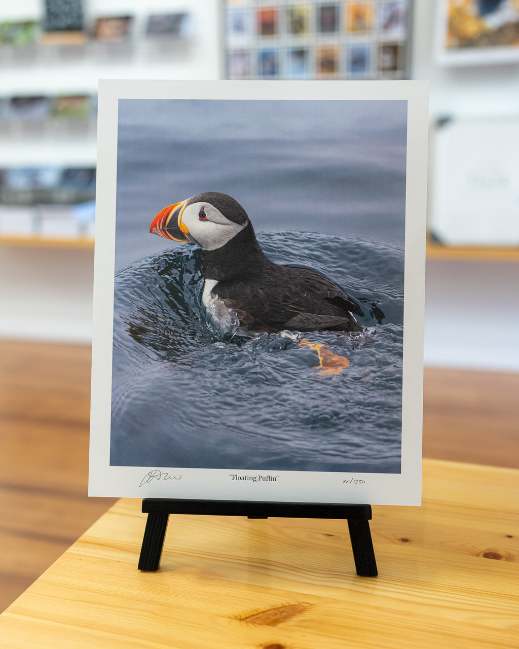 Floating Puffin