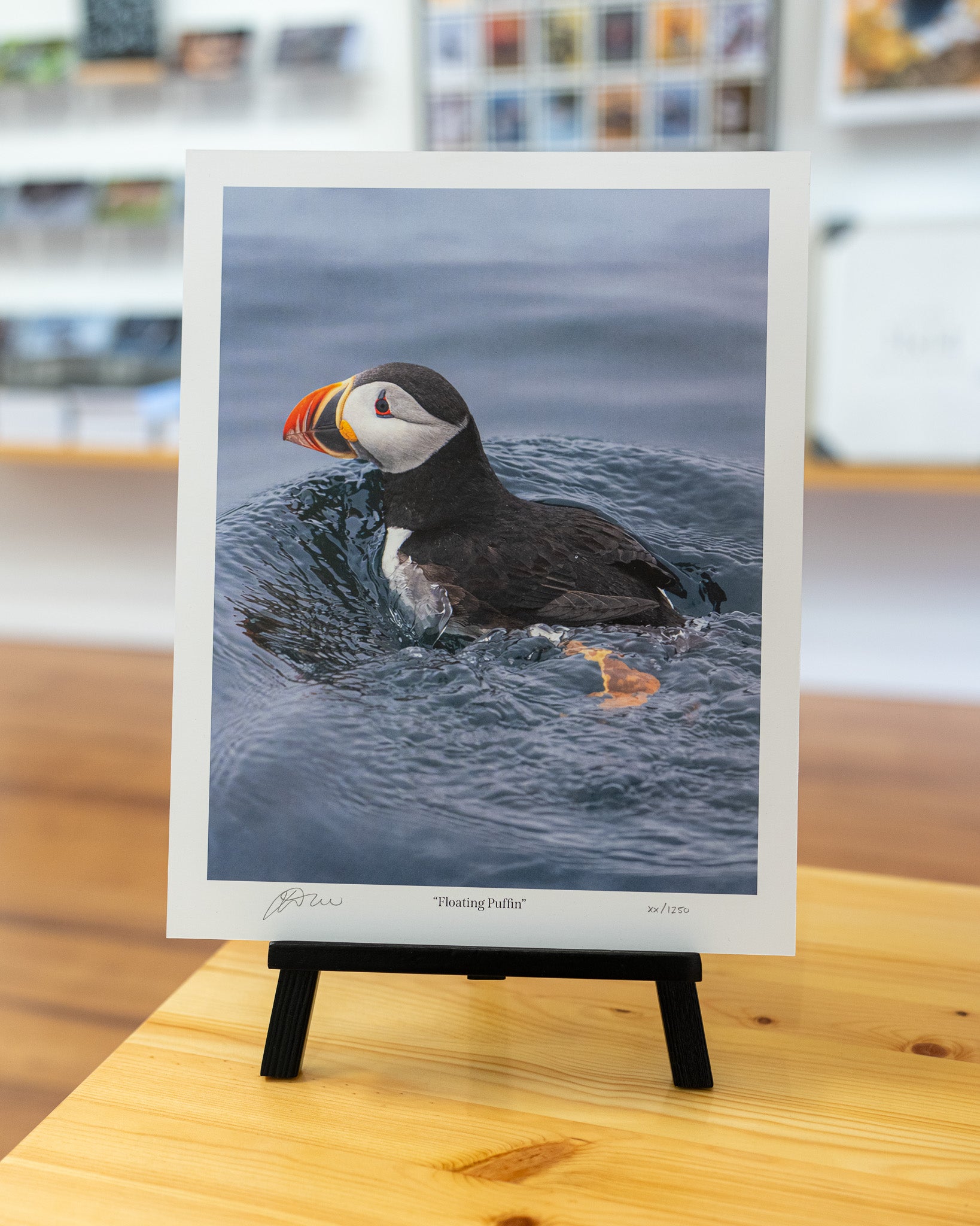 Floating Puffin