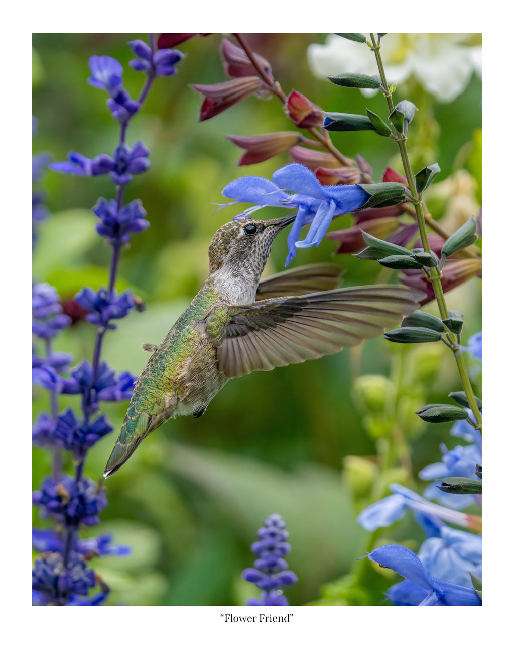 Flower Friend