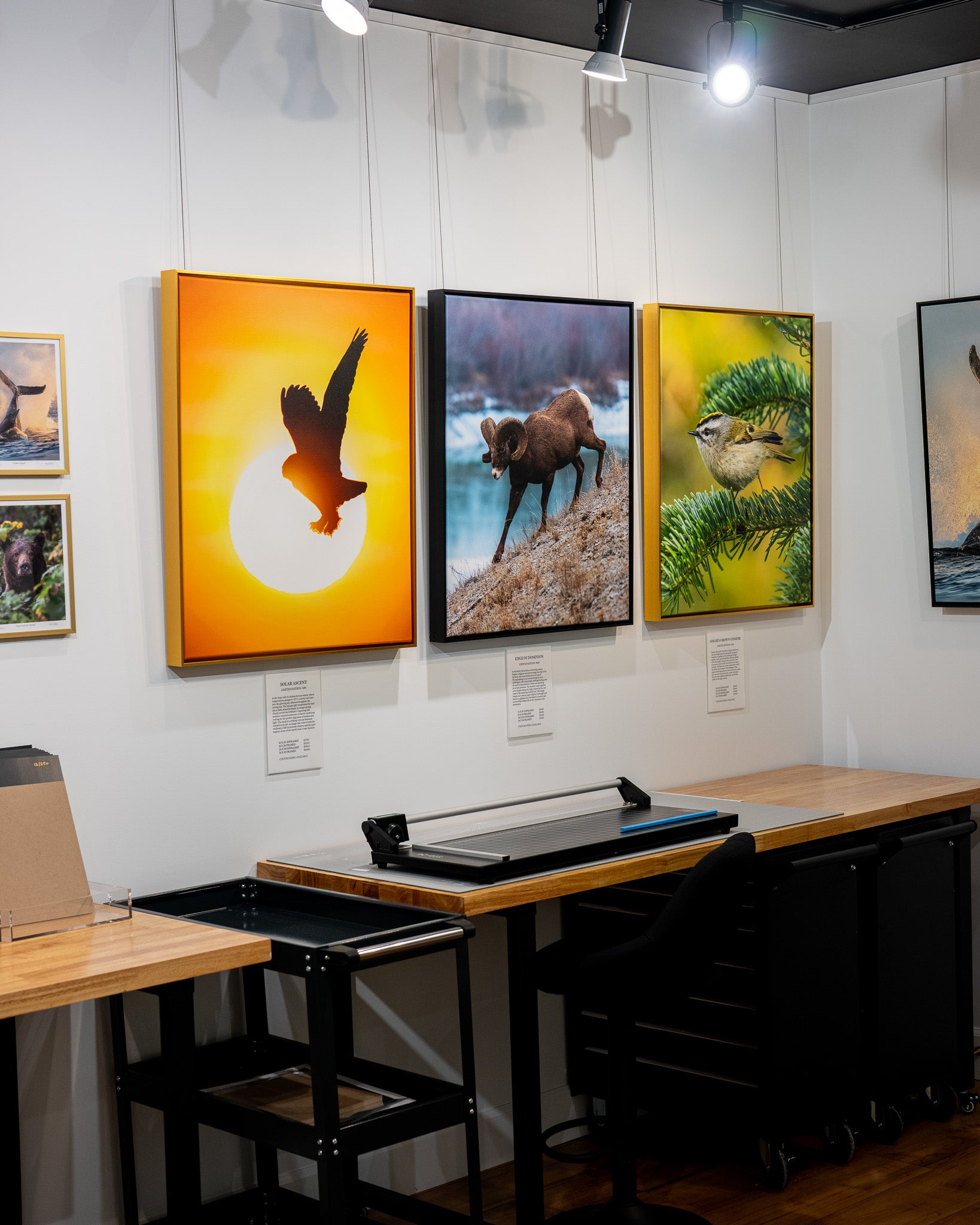 Art gallery with framed nature-themed paintings on a wall.