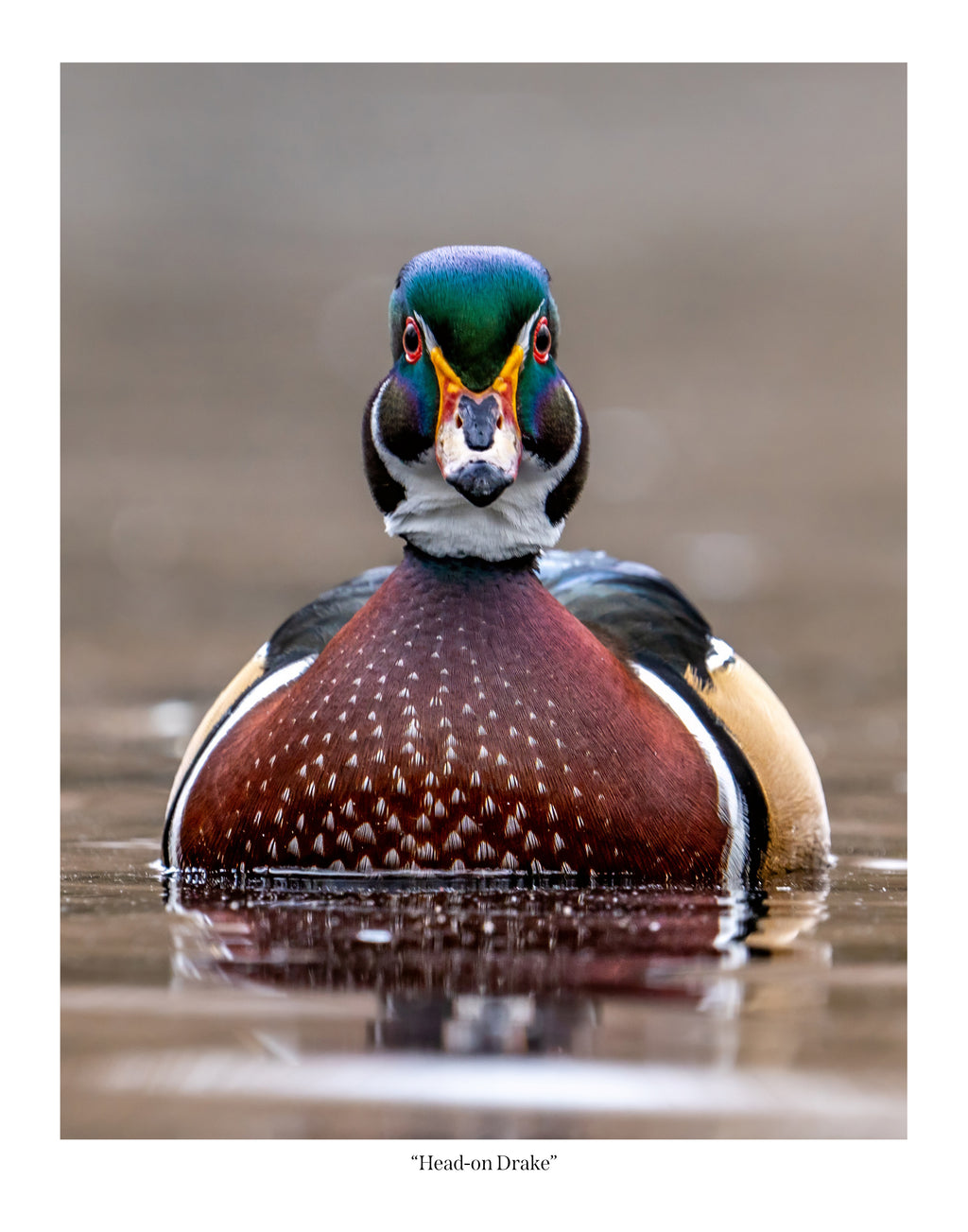 Head-On Drake