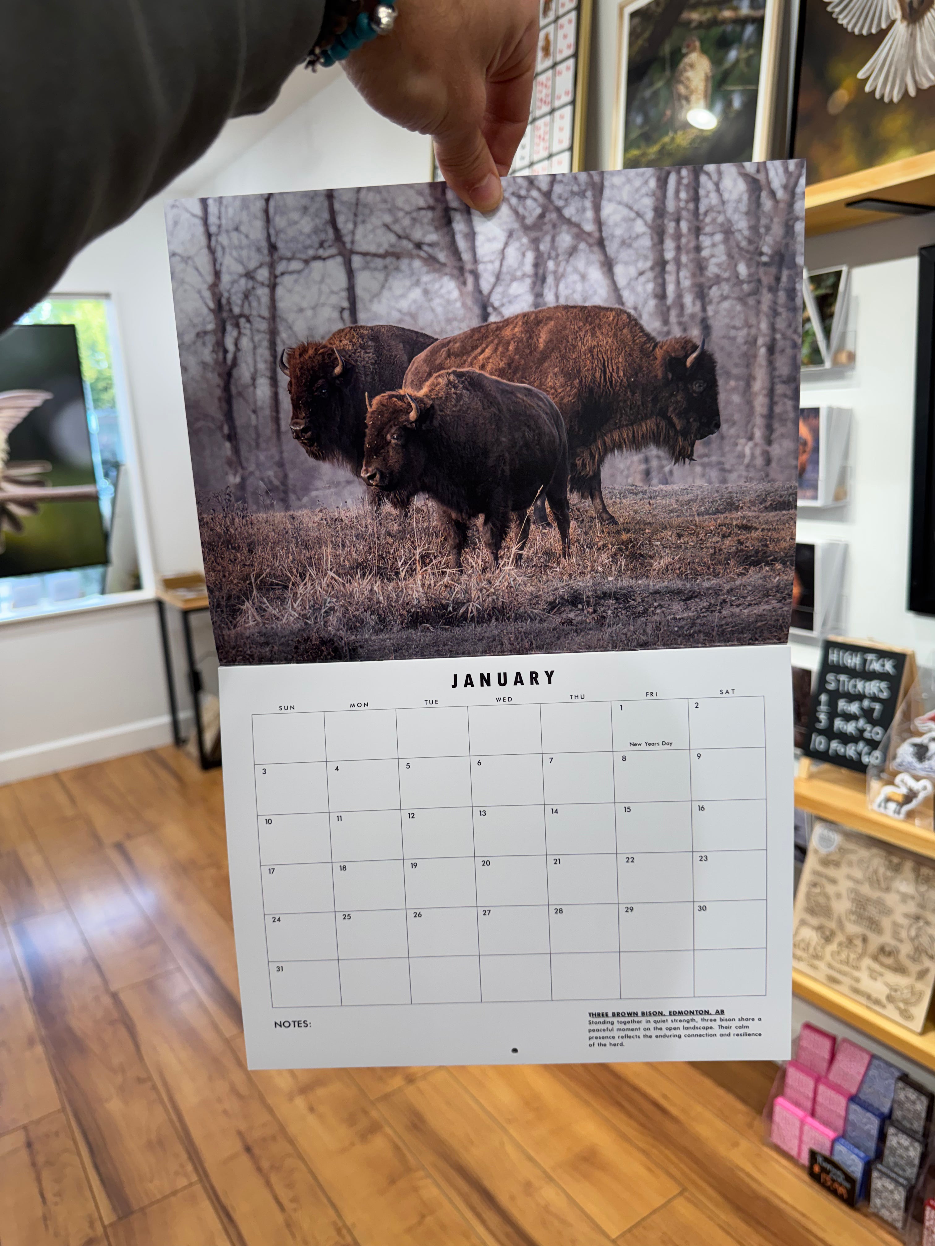 Bird And Wildlife Calendar 2027 - Jared VanderMeer