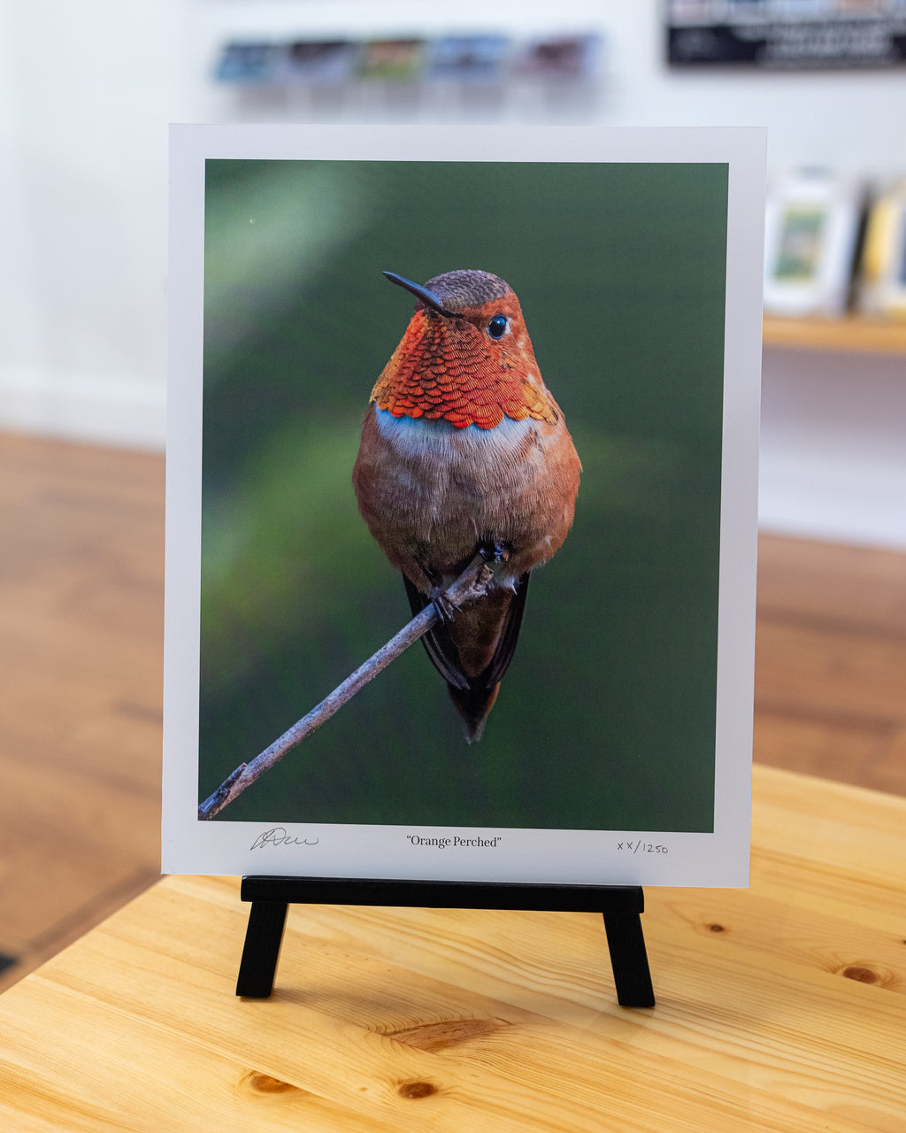 Orange Perched