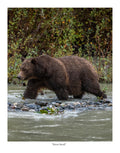 River Stroll