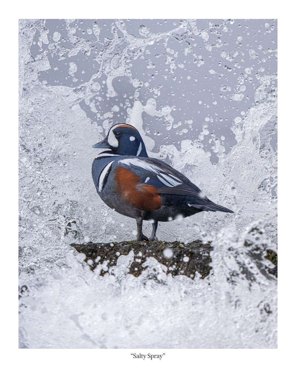 Salty Spray