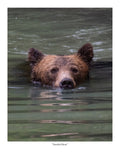Snorkel Bear