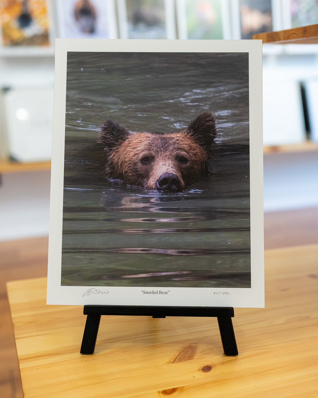 Snorkel Bear
