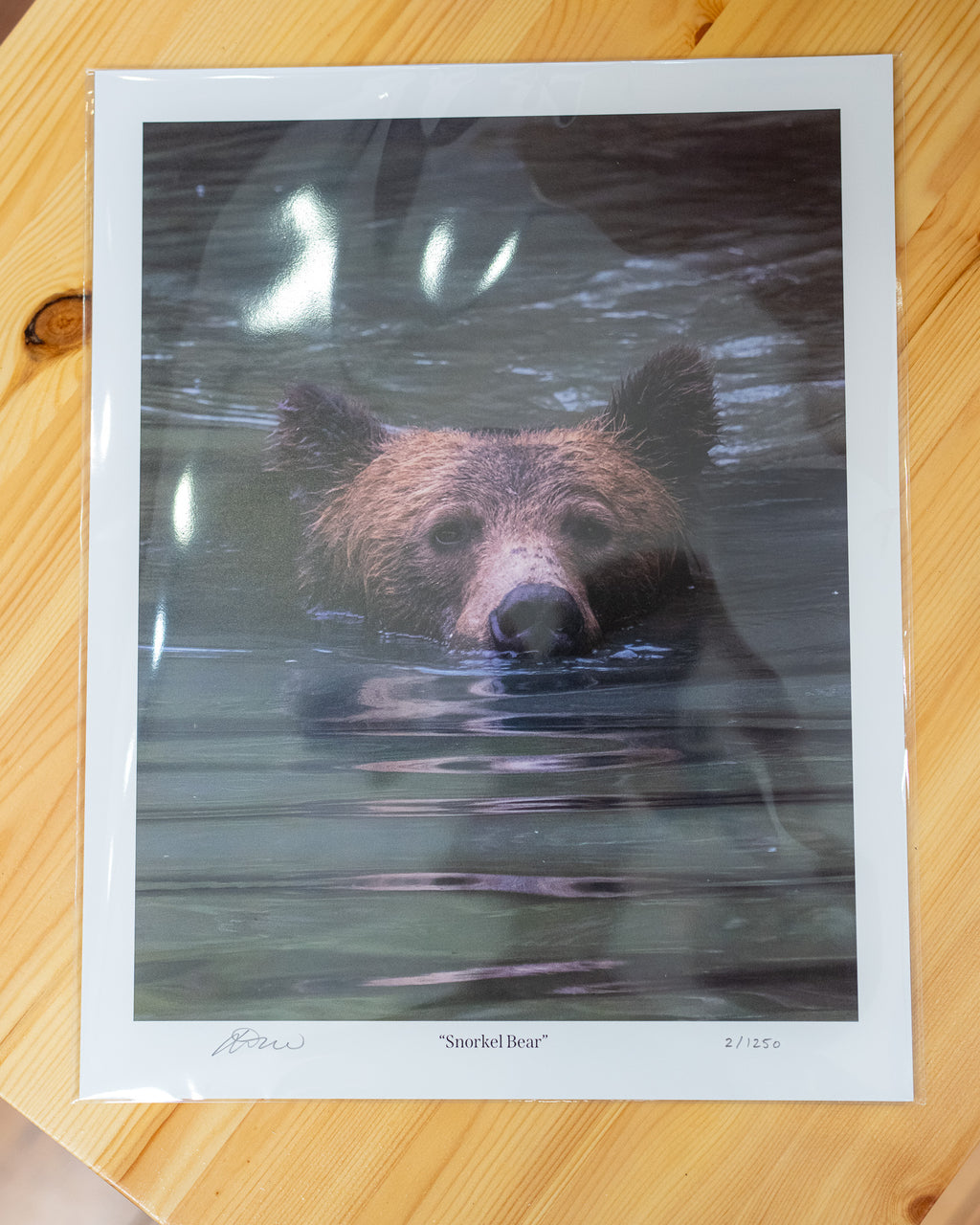 Snorkel Bear