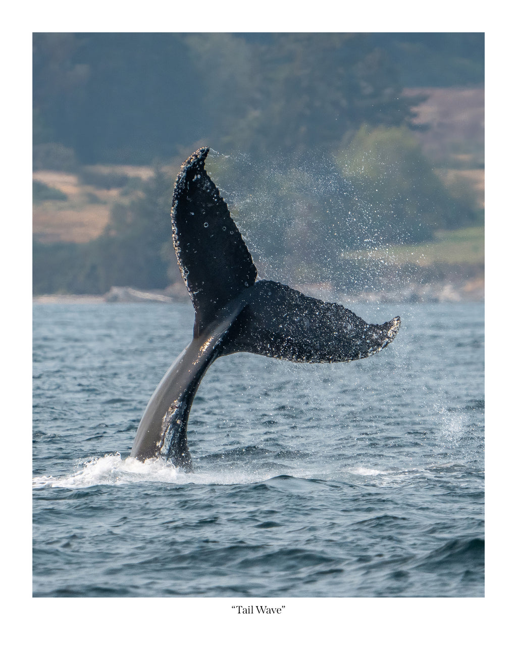 Tail Wave