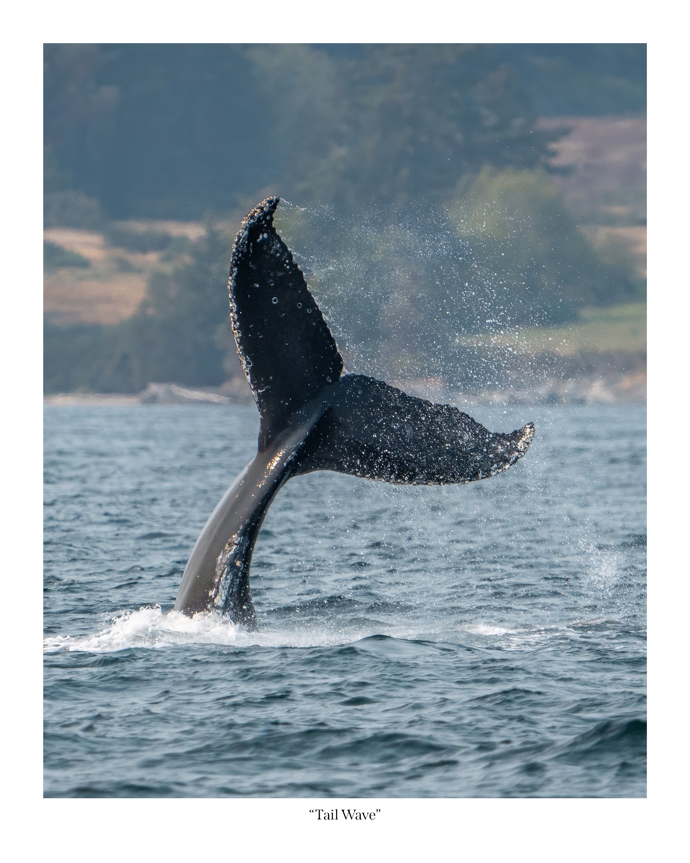 Tail Wave