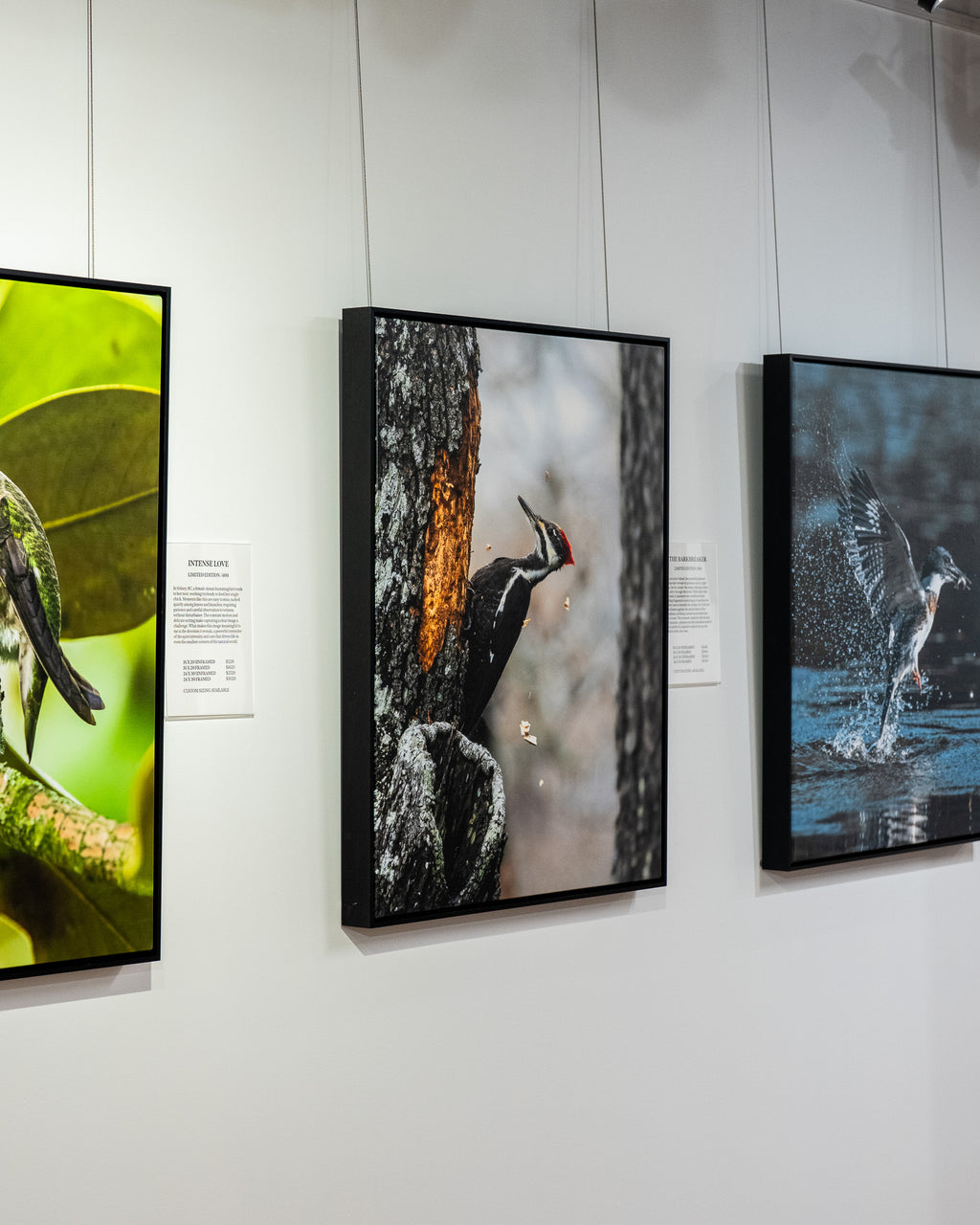 Three framed artworks on a wall, each depicting different natural scenes.