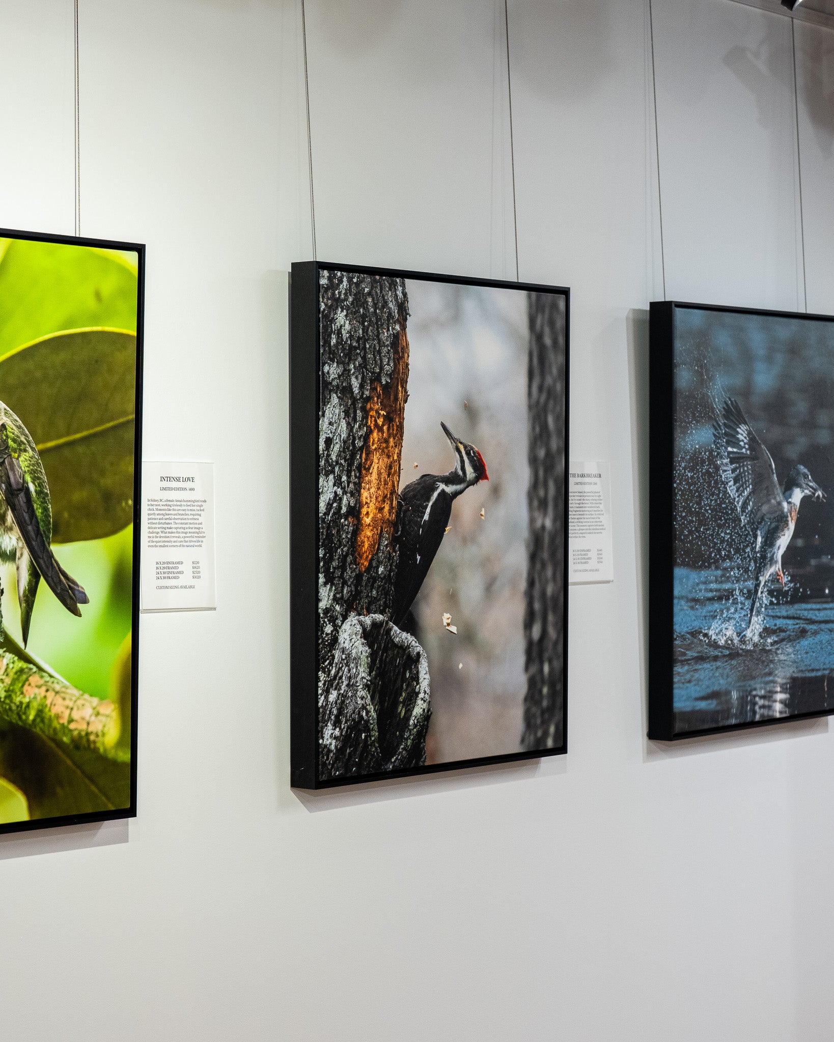 Three framed artworks on a wall, each depicting different natural scenes.