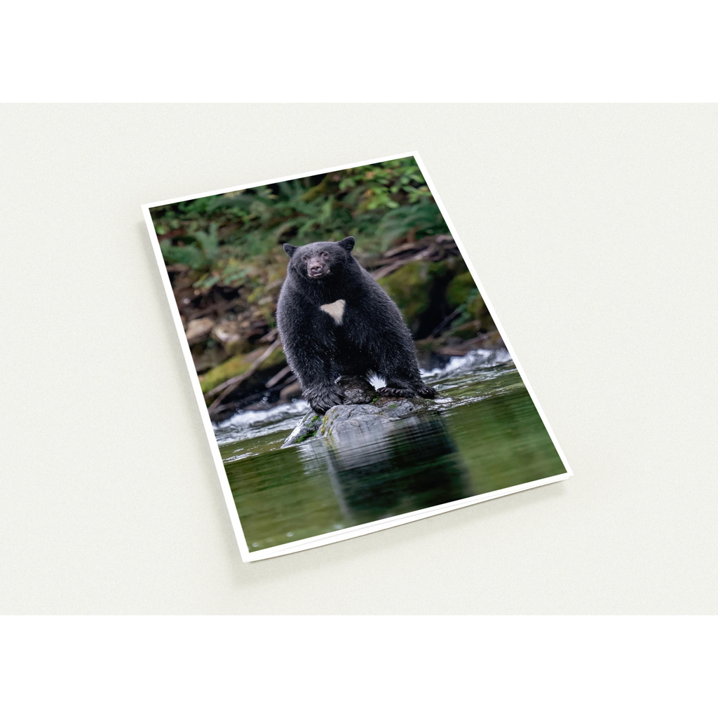 d4910490-879f-4706-851d-7c8cde96ad00