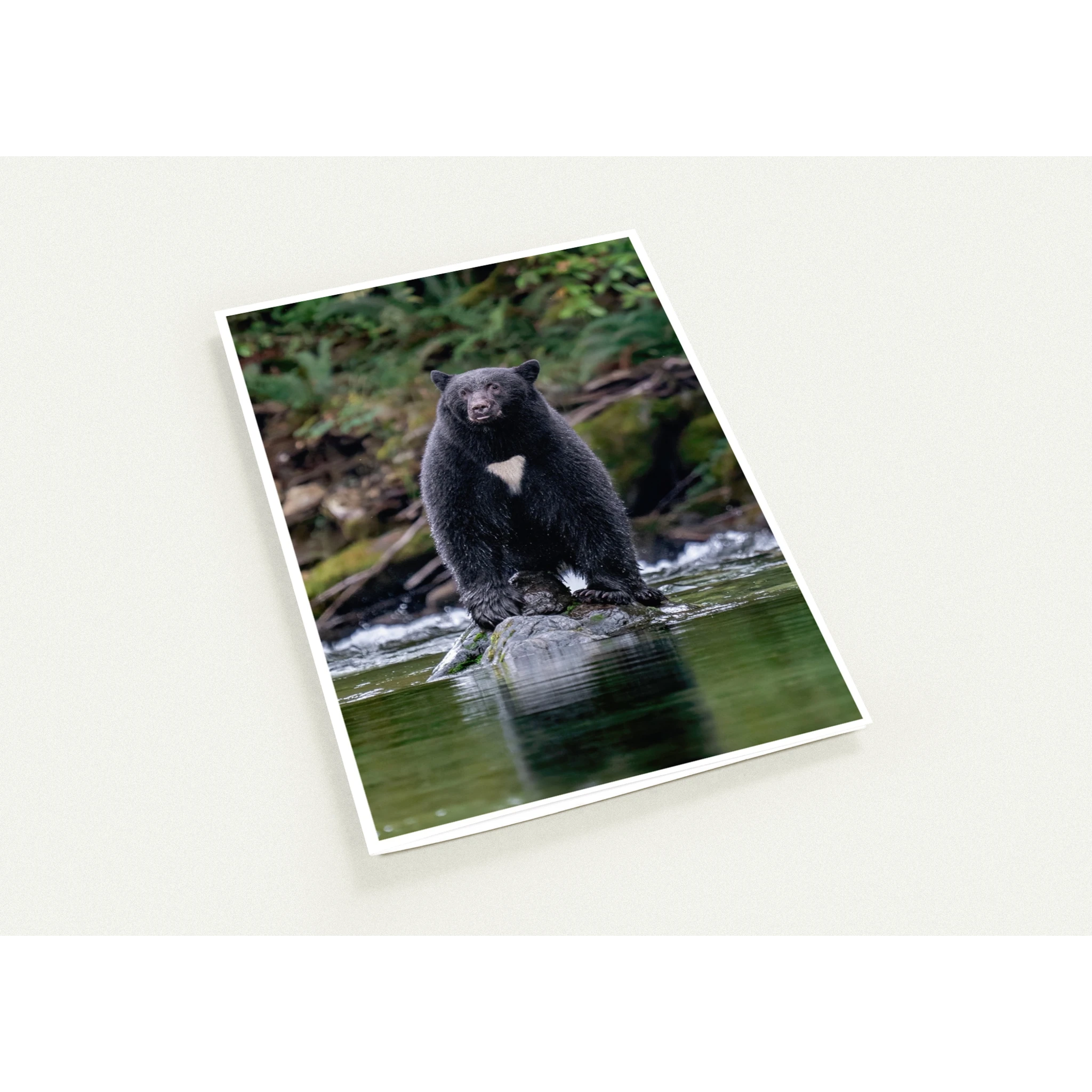d4910490-879f-4706-851d-7c8cde96ad00