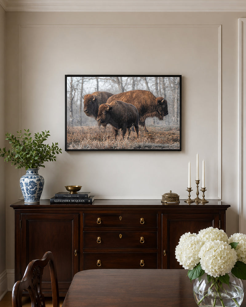 Three Brown Bison