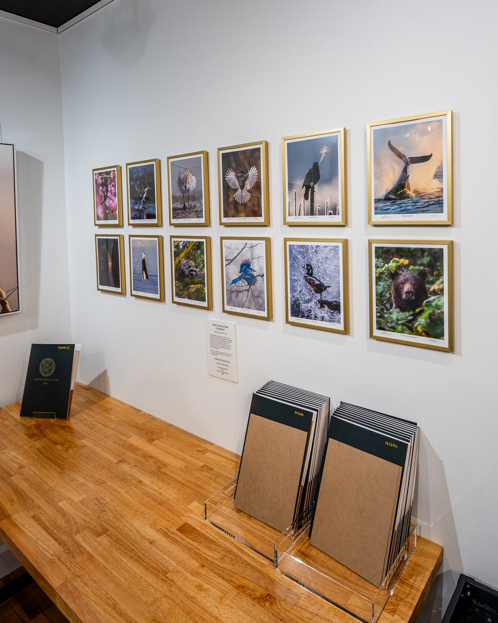 Art gallery with framed photographs on the wall and books on a wooden table.