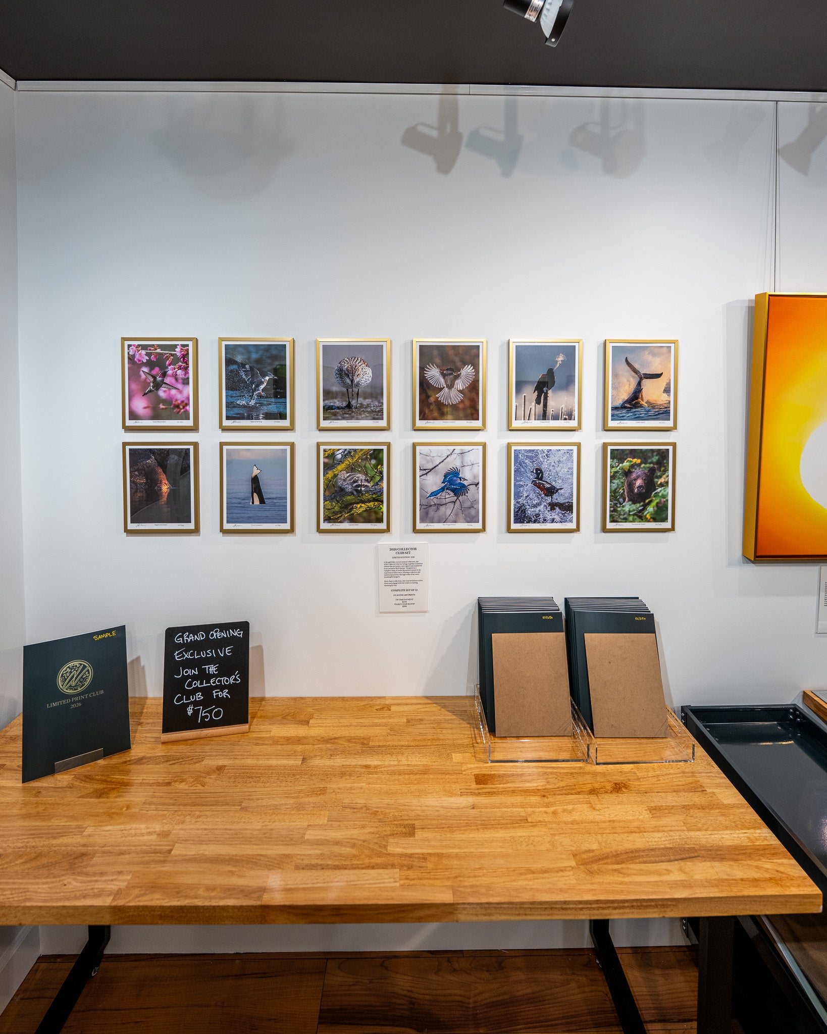 Art gallery with framed photographs on the wall and a wooden table below.