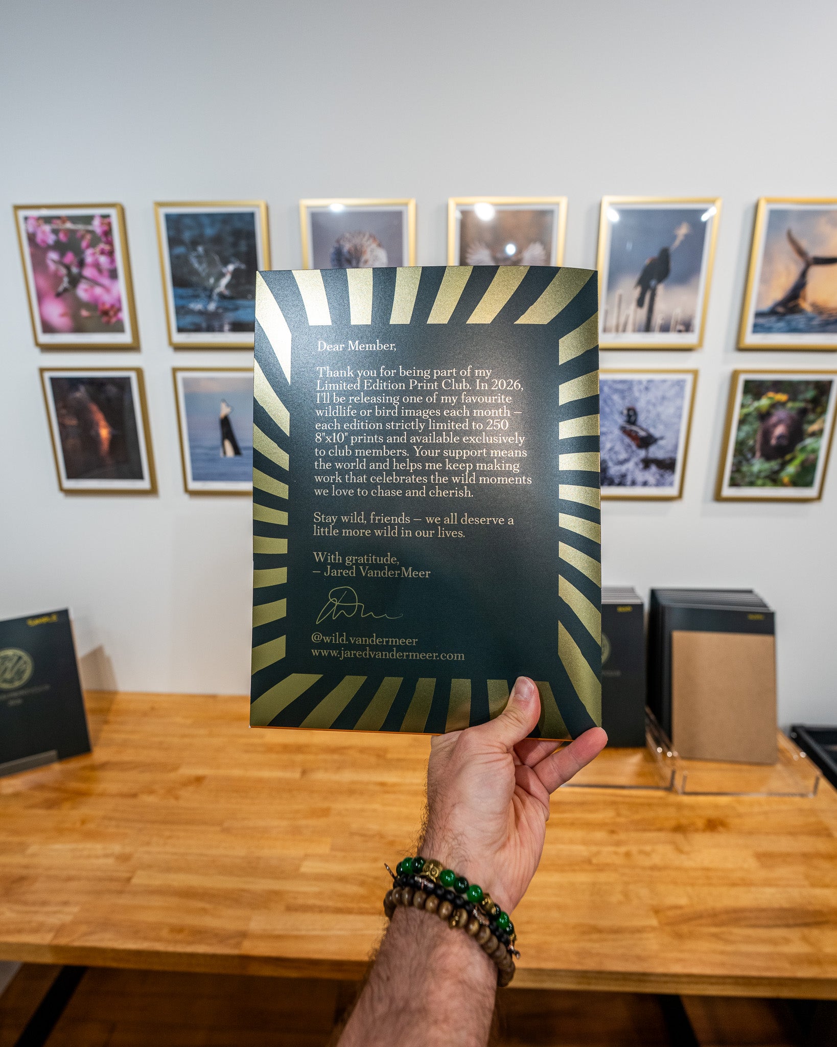 Person holding a framed print with decorative border against a wall with framed pictures.