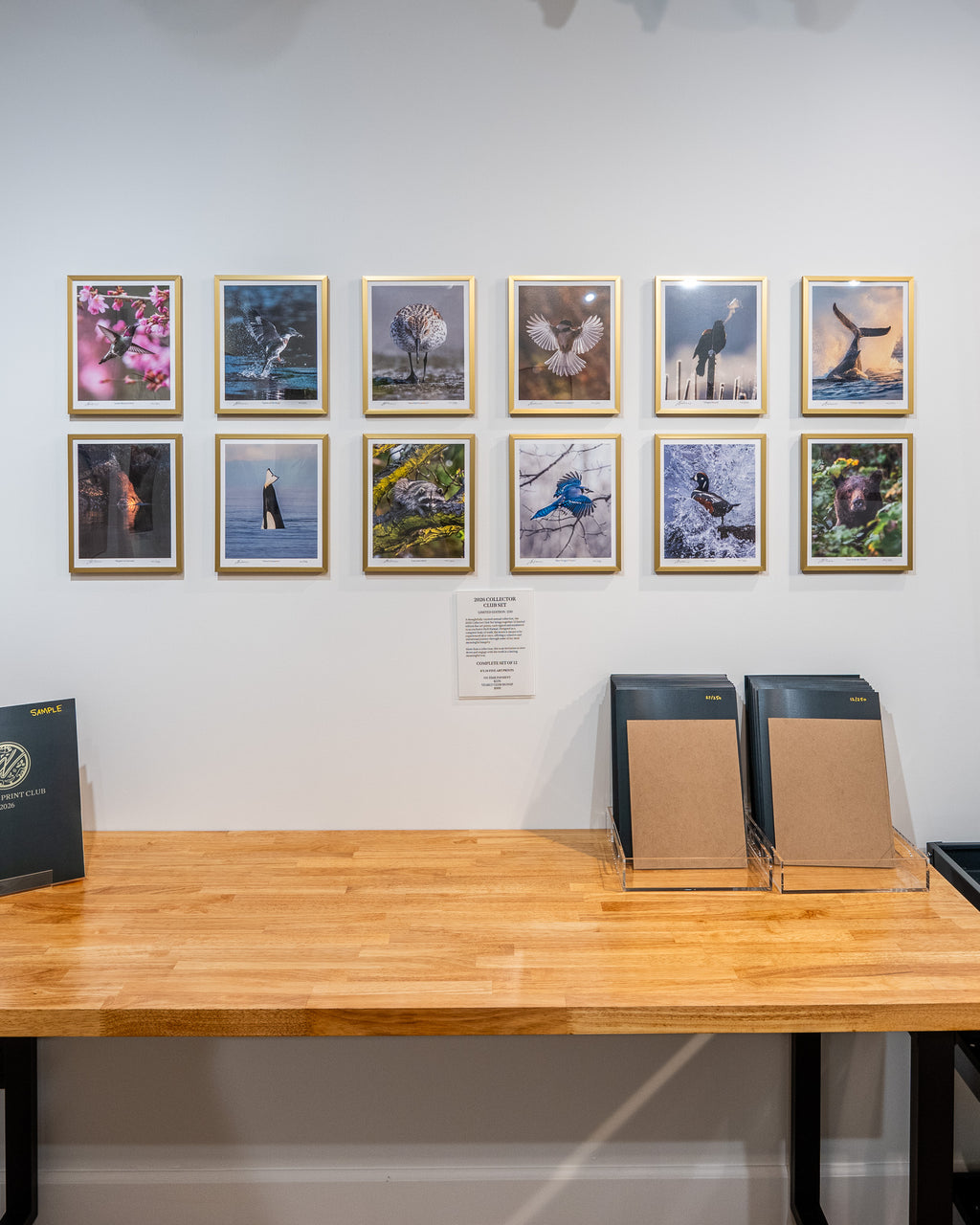 Art gallery with framed photographs on the wall above a wooden table.