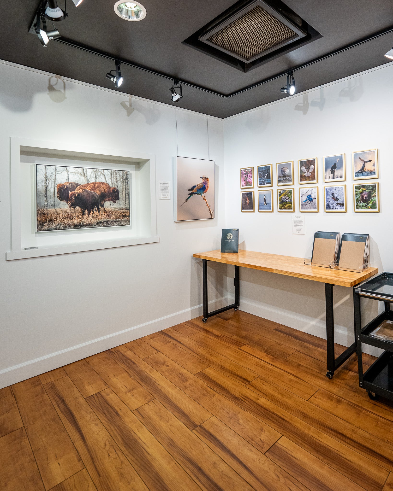 Art gallery with framed photographs on the wall and a wooden desk.